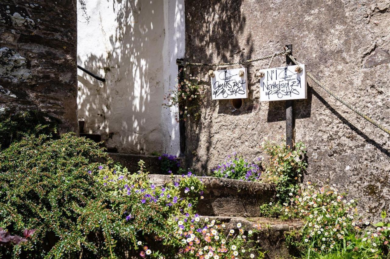 Gulls Rest - Charming Cottage In The Heart Of Historic Dartmouth Ngoại thất bức ảnh